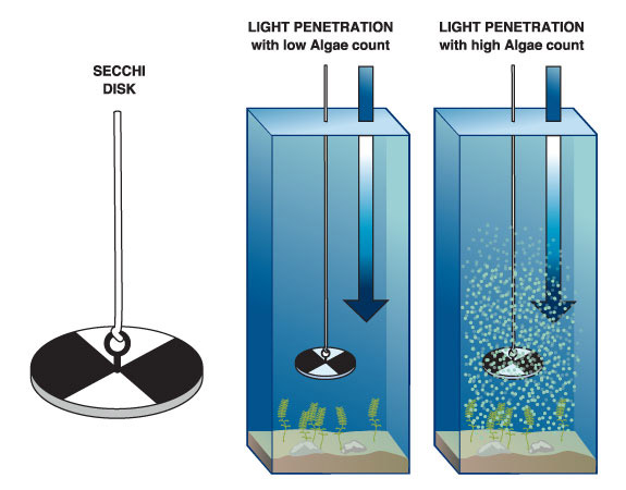 secchi disk